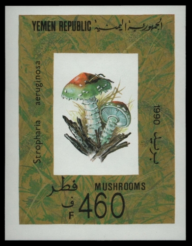 Jemen ( Republik ) 1991 - Mi-Nr. Block 6 ** - MNH - Pilze / Mushrooms