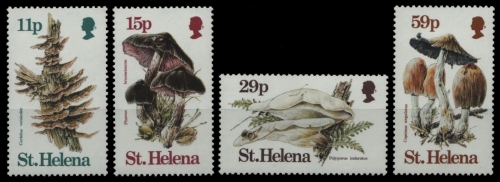 St. Helena 1983 - Mi-Nr. 379-382 ** - MNH - Pilze / Mushrooms