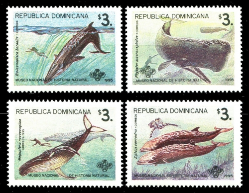 Dominikanische Republik 1995 - Mi-Nr. 1749-1752 ** - MNH - Wale / Whales