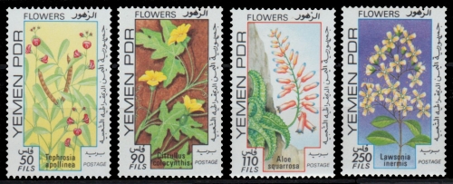 Südjemen 1981 - Mi-Nr. 280-283 ** - MNH - Blüten / Blossoms