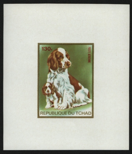 Tschad 1973 - Mi-Nr. Block D 59 ** - MNH - Hunde / Dogs