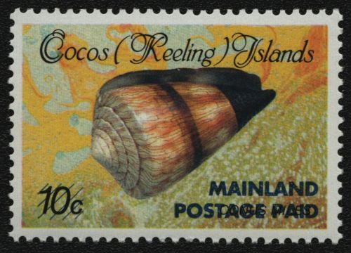 Kokos-Inseln 1990 - Mi-Nr. 240 I ** - MNH - Meeresschnecken / Marine snails
