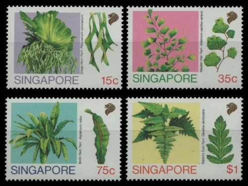 Singapur 1990 - Mi-Nr. 615-618 ** - MNH - Farne / Ferns