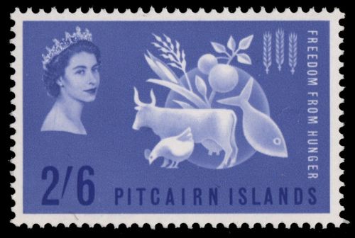 Pitcairn 1963 - Mi-Nr. 35 * - MH - Hunger