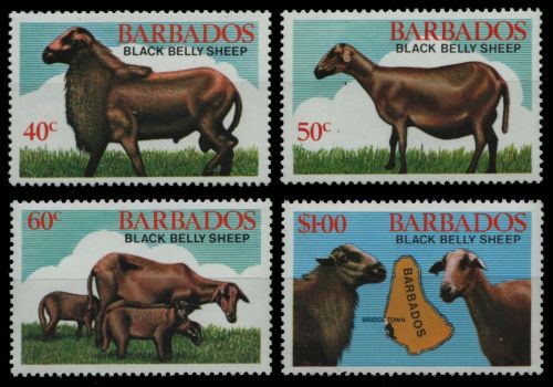 Barbados 1982 - Mi-Nr. 547-550 ** - MNH - Schwarzbauchschaf