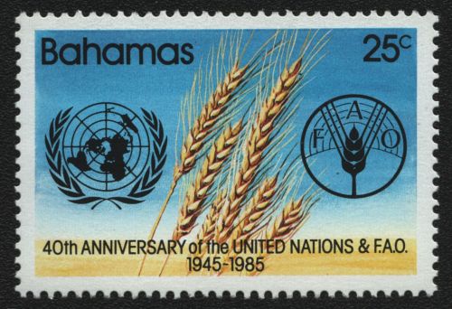 Bahamas 1985 - Mi-Nr. 599 ** - MNH - 40 Jahre UNO & FAO