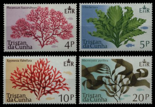 Tristan da Cunha 1975 - Mi-Nr. 198-202 ** - MNH - Meeresalgen