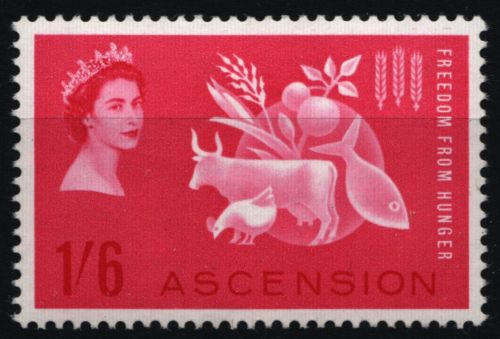 Ascension 1963 - Mi-Nr. 89 ** - MNH - Hunger