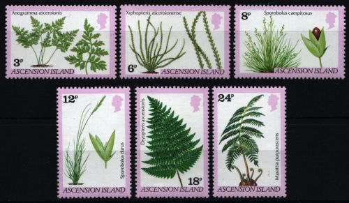 Ascension 1980 - Mi-Nr. 253-258 ** - MNH - Pflanzen / Plants