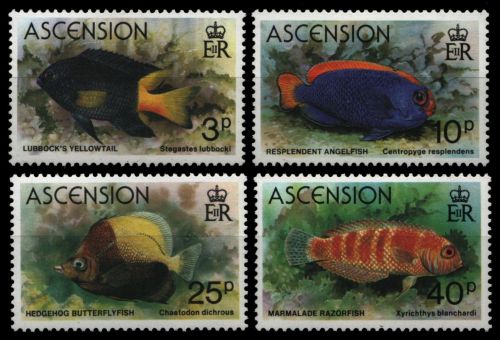 Ascension 1980 - Mi-Nr. 264-267 ** - MNH - Fische / Fish