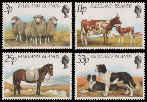 Falkland 1981 - Mi-Nr. 316-319 ** - MNH - Bauernhoftiere / Farm animals