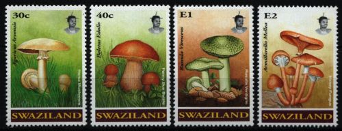 Swaziland 1994 - Mi-Nr. 636-639 ** - MNH - Pilze / Mushrooms