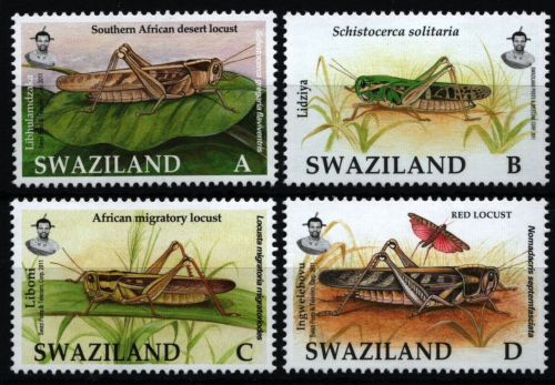 Swaziland 2012 - Mi-Nr. 824-827 ** - MNH - Insekten / Insects