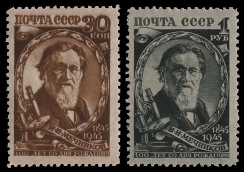 Russia / Sowjetunion 1945 - Mi-Nr. 990-991 * - MH - Metschnikow