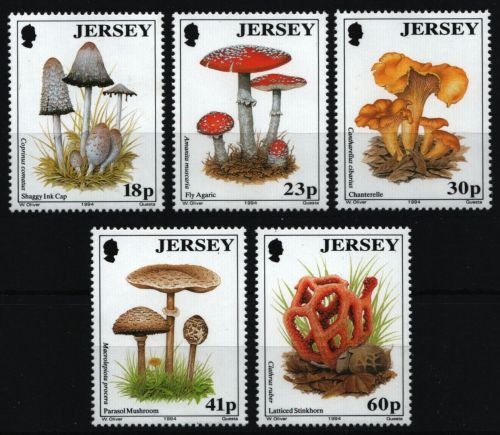 Jersey 1994 - Mi-Nr. 639-643 ** - MNH - Pilze / Mushrooms