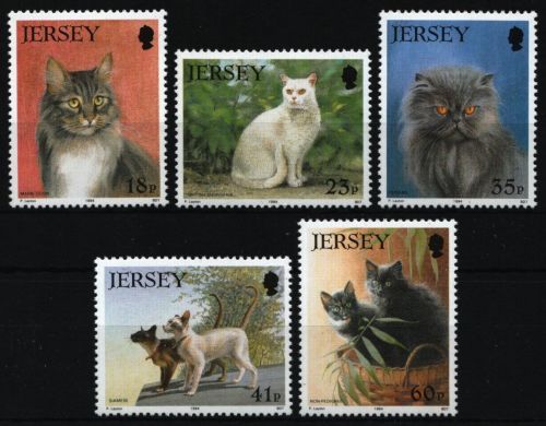 Jersey 1994 - Mi-Nr. 645-649 ** - MNH - Katzen / Cats