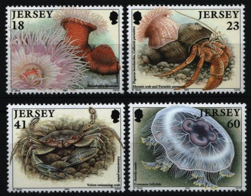 Jersey 1994 - Mi-Nr. 665-668 ** - MNH - Meeresleben / Marine life