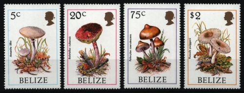 Belize 1986 - Mi-Nr. 930-933 ** - MNH - Pilze / Mushrooms