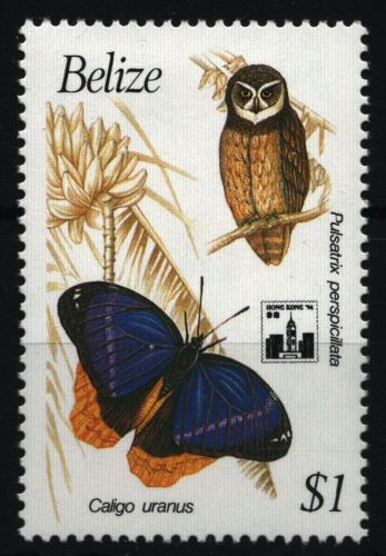 Belize 1994 - Mi-Nr. 1120 ** - MNH - Schmetterlinge / Butterflies