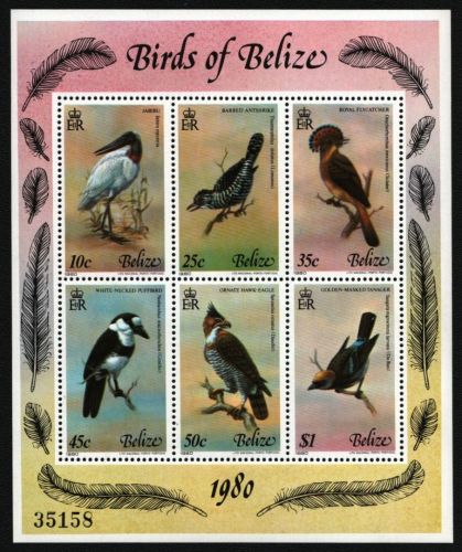 Belize 1980 - Mi-Nr. Block 18 ** - MNH - Vögel / Birds (IV)
