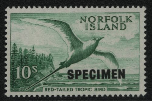 Norfolk-Insel 1960 - Mi-Nr. 36 ** - MNH - Vögel / Birds - Specimen (II)