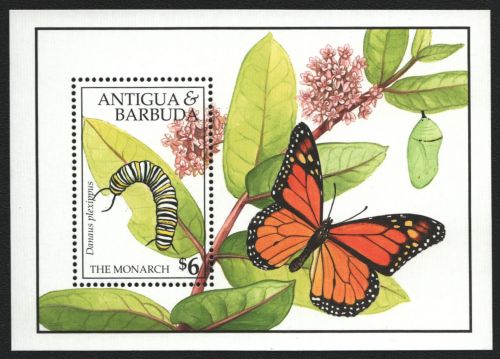 Antigua 1991 - Mi-Nr. Block 199 ** - MNH - Schmetterlinge / Butterflies