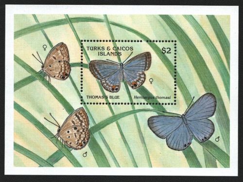 Turks- & Caicos 1990 - Mi-Nr. Block 85 ** - MNH - Schmetterlinge / Butterflies