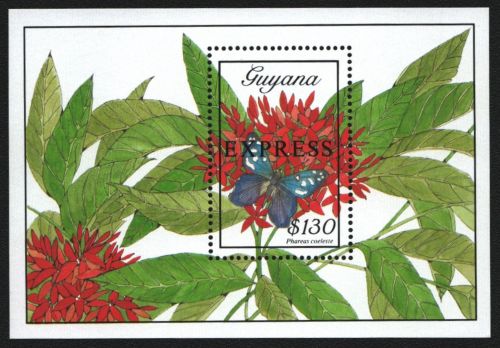 Guyana 1989 - Mi-Nr. Block 53 ** - MNH - Schmetterlinge / Butterflies