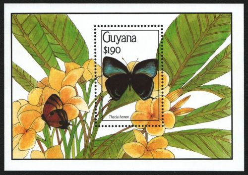 Guyana 1990 - Mi-Nr. Block 103 ** - MNH - Schmetterlinge / Butterflies