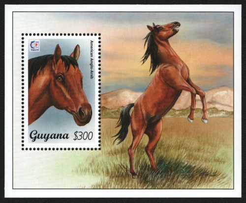 Guyana 1995 - Mi-Nr. Block 461 ** - MNH - Pferde / Horses