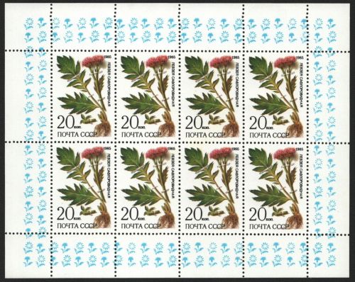 Russia / Sowjetunion 1985 - Mi-Nr. 5531 ** - MNH - KLB - Heilpflanzen