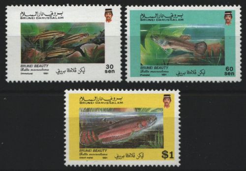 Brunei 1991 - Mi-Nr. 436-438 ** - MNH - Fische / Fish