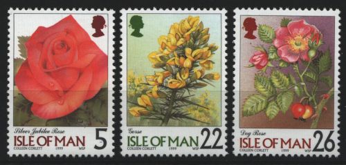 Isle of Man 1999 - Mi-Nr. 807-809 ** - MNH - Blumen / Flowers