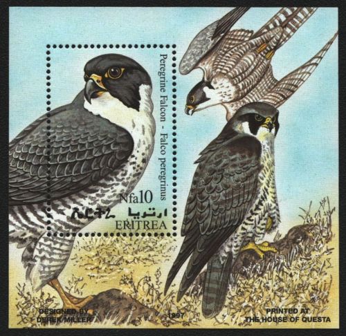 Eritrea 1998 - Mi-Nr. Block 7 ** - MNH - Vögel / Birds