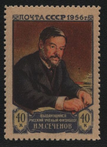 Russia / Sowjetunion 1956 - Mi-Nr. 1834 C ** - MNH - gez 12 1/2 (II)
