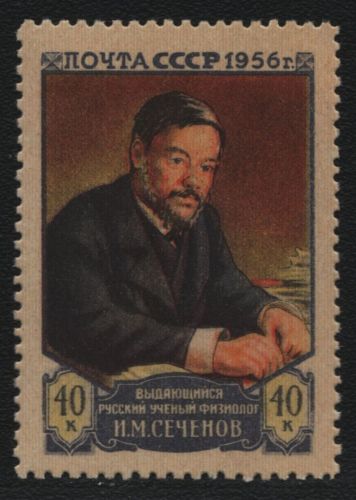 Russia / Sowjetunion 1956 - Mi-Nr. 1834 C ** - MNH - gez 12 1/2 (III)