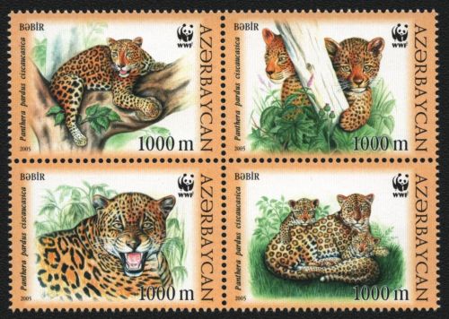 Aserbaidschan 2005 - Mi-Nr. 592-595 ** - MNH - Wildtiere / Wild animals
