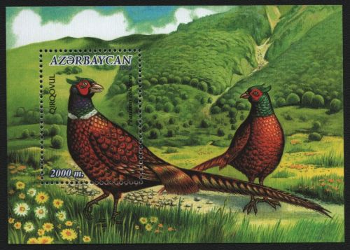 Aserbaidschan 2000 - Mi-Nr. Block 42 ** - MNH - Vögel / Birds