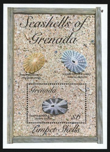 Grenada 1993 - Mi-Nr. Block 342 ** - MNH - Meeresschnecken