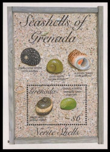 Grenada 1993 - Mi-Nr. Block 343 ** - MNH - Meeresschnecken