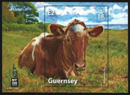 Guernsey 2016 - Mi-Nr. Block 78 ** - MNH - Kuh / Cow