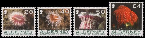 Alderney 2007 - Mi-Nr. 310-313 ** - MNH - Meeresfauna / Marine life