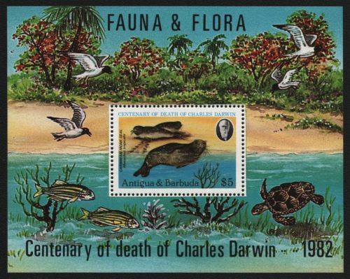 Antigua 1982 - Mi-Nr. Block 62 ** - MNH - Fauna & Flora - Charles Darwin