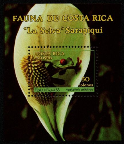 Costa Rica 1986 - Mi-Nr. Block 13 ** - MNH - Frösche / Frogs (II)