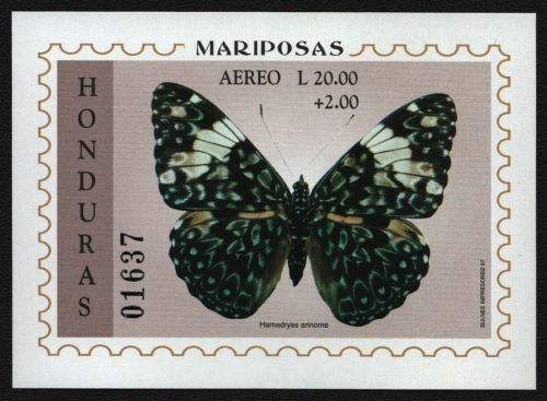 Honduras 1997 - Mi-Nr. Block 58 ** - MNH - Schmetterlinge / Butterflies