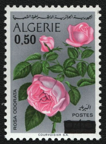Algerien 1975 - Mi-Nr. 641 ** - MNH - Blumen / Flowers