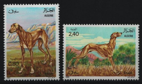 Algerien 1983 - Mi-Nr. 838-839 ** - MNH - Hunde / Dogs