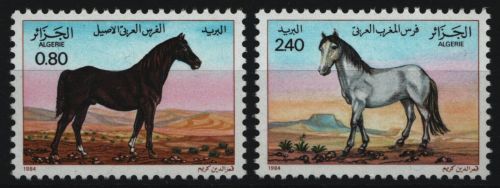Algerien 1984 - Mi-Nr. 854-855 ** - MNH - Pferde / Horses
