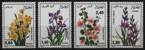 Algerien 1986 - Mi-Nr. 924-927 ** - MNH - Blumen / Flowers