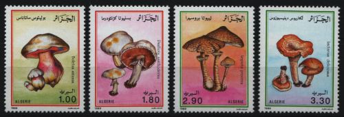 Algerien 1989 - Mi-Nr. 1010-1013 ** - MNH - Pilze / Mushrooms